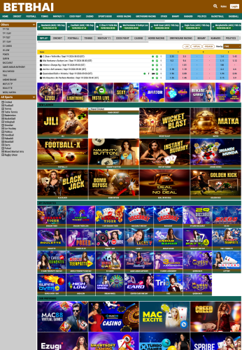 BetBhai B2B panel website preview