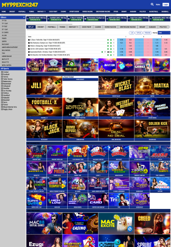 My99Exch247 B2B panel website preview