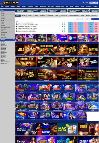 99Exch B2C panel website preview