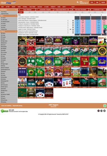 Diamond V1 B2C panel website preview