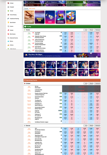 Lotus365 B2C panel website preview