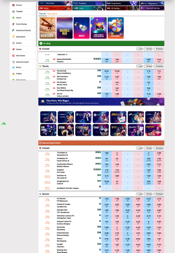 Reddy888 B2C panel website preview